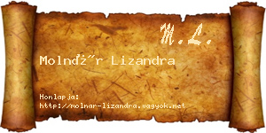 Molnár Lizandra névjegykártya